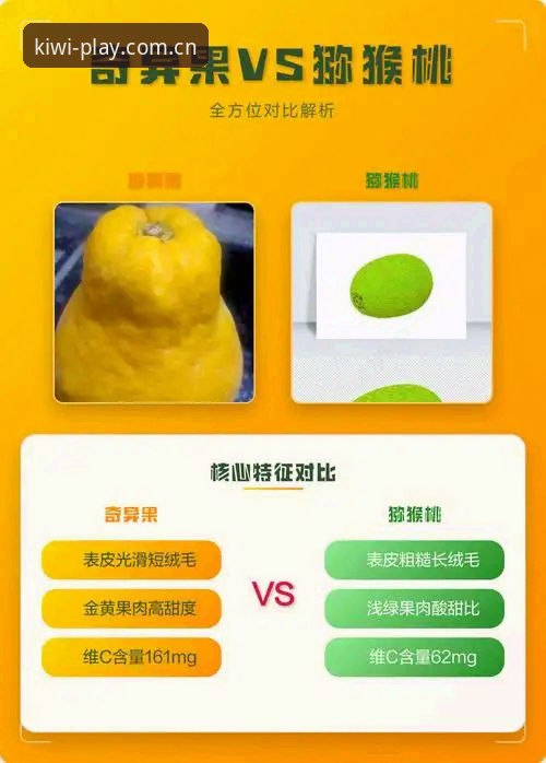 奇异果娱乐注册 vs 传统平台：新用户该选择哪个入口更省心？